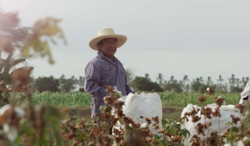 Heritage raw materials COTTON In 2012 introduced a three year farmers training programme in Peru in partnership with Cotton Connect to: Increase awareness amongst farmers Encourage adoption of more