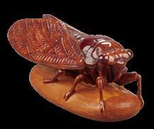 Gyokuso is represented in this sale by Lot 189, a ryusa manju in ebony, an array of realistically carved Insects, flying, crawling, and wriggling and