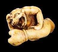 Among the largest netsuke in the sale at 13 cm, it was one of the first pieces purchased by the Mangs in Tokyo in 1951.