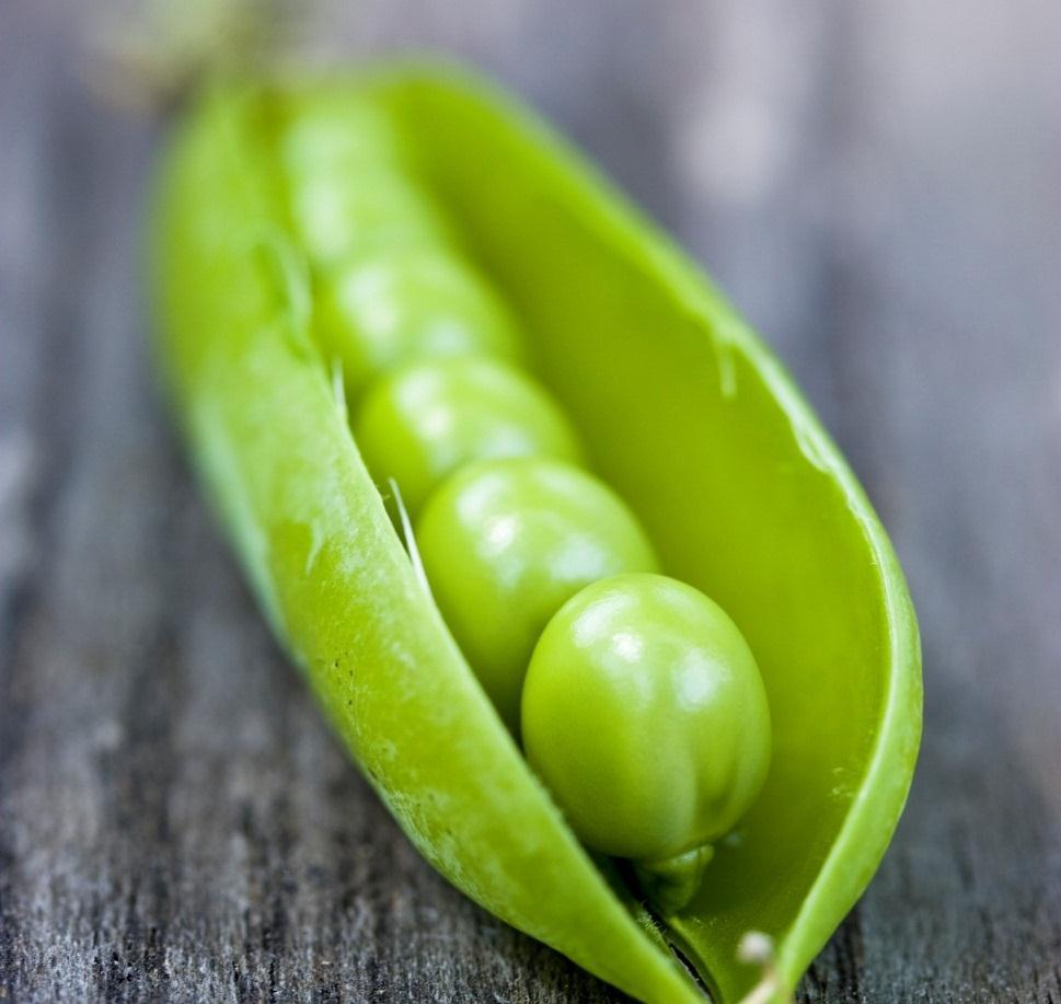 Peas belong to the pulses and and thus to the familiy