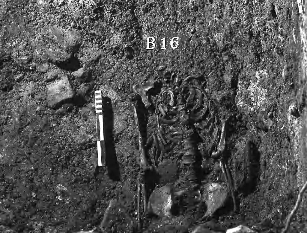 114 RICHARD BRYANT AND CAROLYN HEIGHWAY Fig. 11. Burial B16 looking west.
