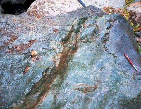 The boulder contains 2 5 cm wide veins of green Olmec Imperial jadeite in a matrix of dark green, almost opaque jadeite. Smaller boulders containing the New Blue jadeite lie along the same creek.