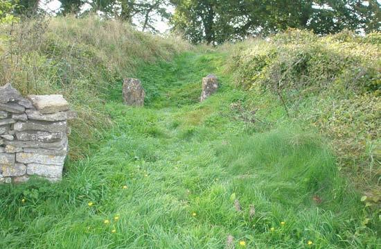 views across the Severn valley. Fig. 8. The false entrance at Windmill Tump, Rodmarton, Gloucestershire. Two portal stones are visible amongst the vegetation.