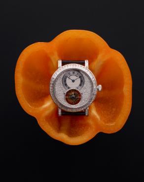 watchmaking (Rolex, Omega, Vacheron Constantin, IWC, Panerai et Breguet ).