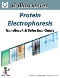 RELATED PRODUCTS Download our Protein Electrophoresis Handbook. hhttp://info.gbiosciences.