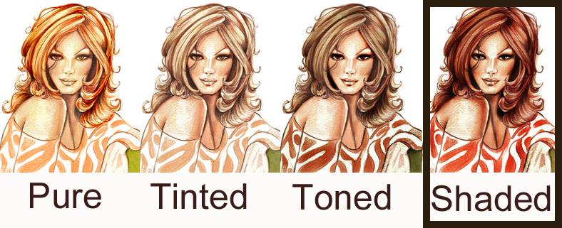 Toned: colors that have a touch of gray added to them. Medium value. Shaded: colors that have a touch of black added to them. The darkest value.