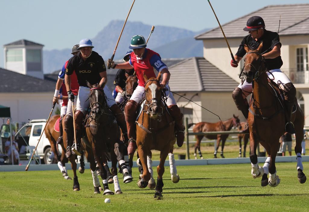 4. LEARN HOW TO PLAY LIKE A KING Personal Polo Lesson at
