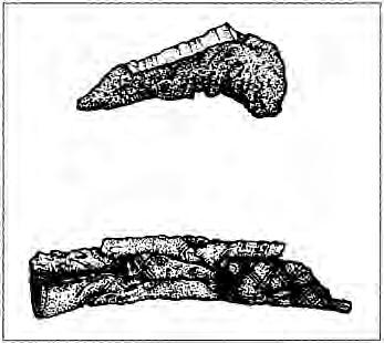 The uruk culture 147 used after the end of Ubaid culture).