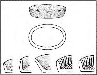 Mesopotamia before history 18 Figure 3.1 A Neolithic husking tray of pottery for cleaning cereal grain of impurities.