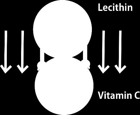 silica Fat soluble Lecithin