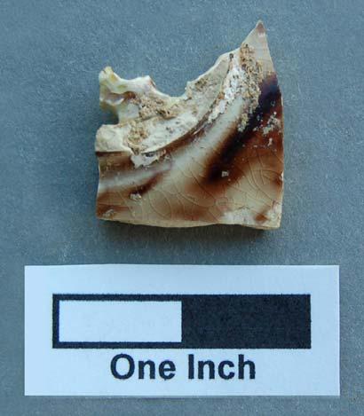 Figure 9-Sherd of tortoiseshell ware excavated