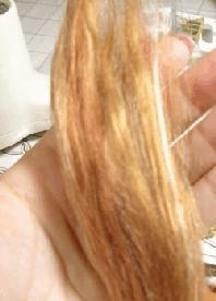 HIGHLIGHTED HAIR 1. Take several shades of blond, red, light brown and mix together until a nice *highlighted* assortment is shown. 2. Pleat the hair in 1" pleater.
