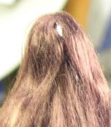 At the back of the head, the hair will form an upside down