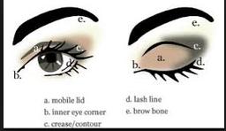 Eyelid Reference (shut) Eyelid Reference (open) for Male Performers: 8. Foundation: Should match skin tone, blend into neckline 9.