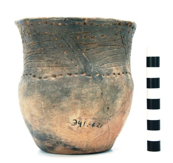 22 Caddo Ceramic Vessels from the Paul Mitchell Site (41BW4) SITE NAME OR SITE NUMBER: Mitchell VESSEL NO.