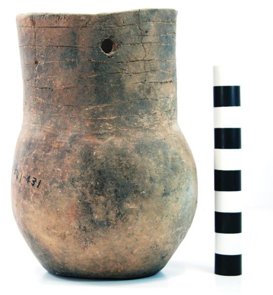 33 VESSEL NO.: 341 431, Burial 10 VESSEL FORM: Deep bowl with two opposed suspension holes (6.