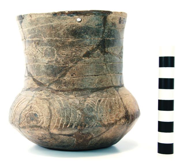 75 VESSEL NO.: 6 2 43, Burial 12 VESSEL FORM: Compound bowl with two opposed suspension holes (3.