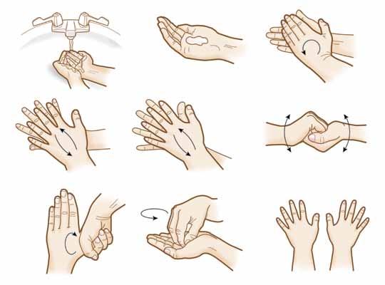 Rub product on fingertips and under fingernails. 3. Rub the back-end of each hand, and in between fingers. 8. Rinse with water and towel dry. 4.