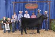 Excellent Opportunity! 27 Selling IVF Flush of HS Stop And Stare U118L Black Dbl. Polled Purebred ~ ASA#2437282 BD: 2/13/08 ~ Tattoo: U118L ~ Adj.
