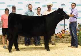 2015 NWSS Champion Female in both Junior and Open Shows; 2014