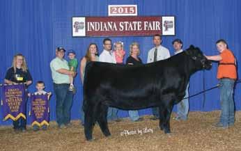 FBF1 Absolute 2015 World Beef Expo Supreme Champion