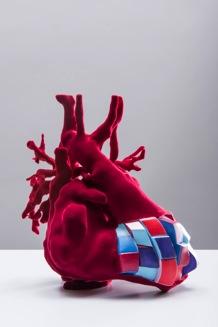 PRESS RELEASE MARCH 2018 THE HEART OF THE MATTER New exhibition opens at the Great North Museum, Newcastle, bringing together art and medicine to help people reflect on the human heart Images: Sofie