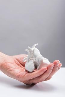 Photos: Stephen King I feel like I am holding snow in my hands Mother of a 3-month old baby on seeing her child s heart as a 3D model March 2018: On Saturday 24 March 2018 a new exhibition bringing