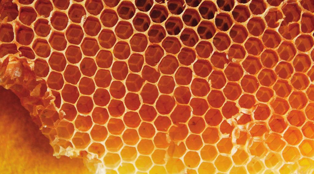 BEESWAX Beeswax is secreted by worker honeybees for use in the construction of