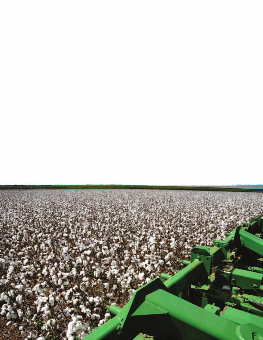2013 U.S. Cotton Plantings 2012 Actual (Thou.) 1/ 2013 Estimated (Thou.) 1/ Percent Change SOUTHEAST 2,748 2,525-8.1% Alabama 380 330-13.2% Florida 108 125 15.7% Georgia 1,290 1,300 0.8% N.