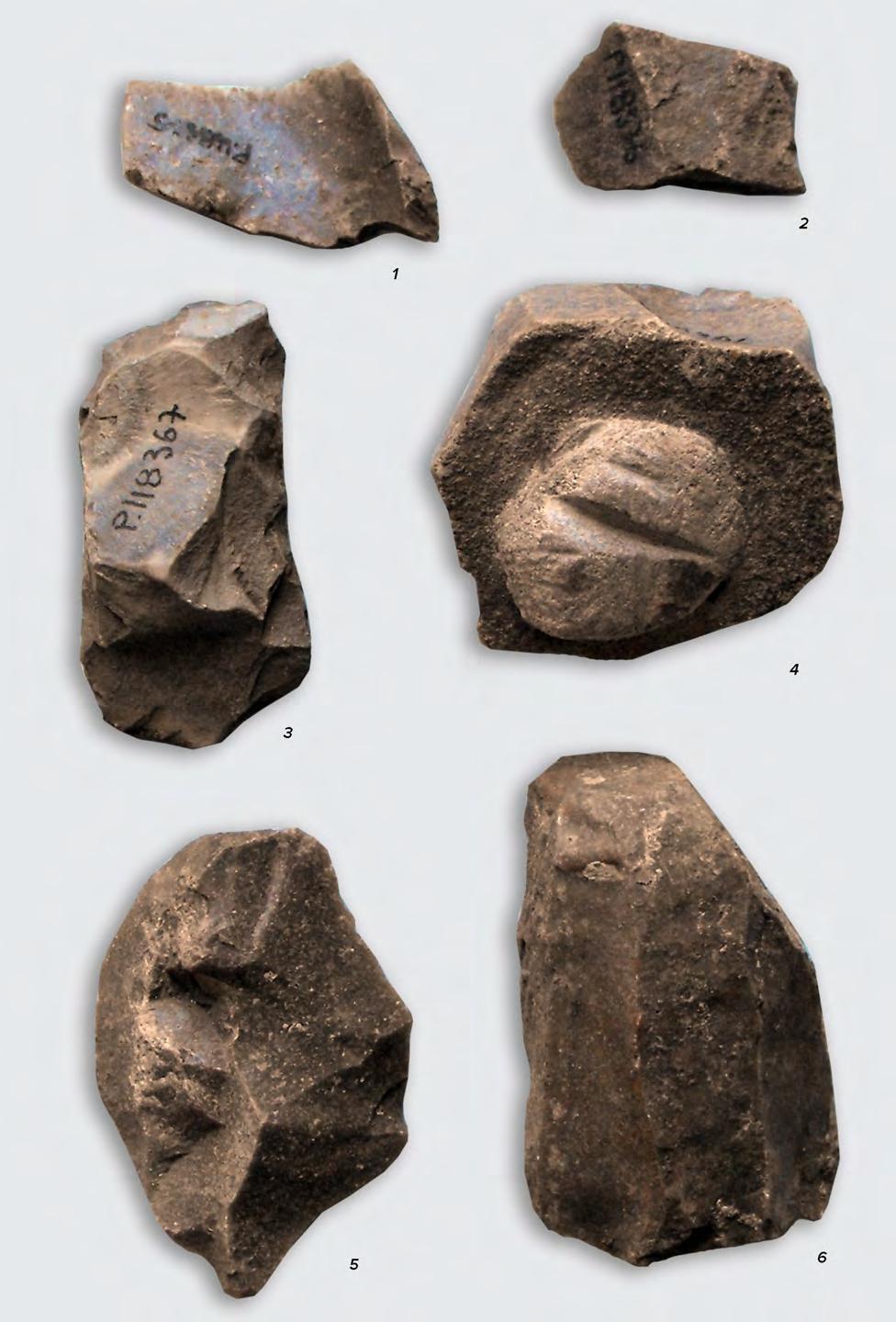 TOOLS, ARMS, ADORNMENTS AND OTHER ARTIFACTS 99 Fig. V.3.
