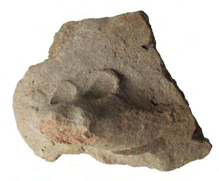 Paul 2007; b) fragment with a mouse from Surface E.