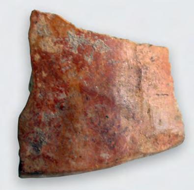 30 CHAPTER II 0 0.20 m: 4 fragments, ascribed to the Baden, Kostolac, Petrești, and Vinča cultures; 0.20 0.50 m: 116 fragments ascribed to the Baden, Kostolac, Petrești, and Vinča cultures; 0.50 0.