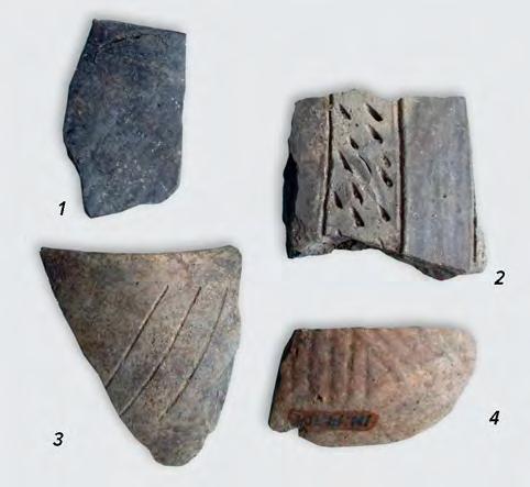 paste, elements of the Vinča A phase (fig. IV.21.