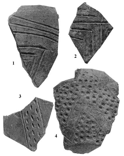 THE STUDY AND EVOLUTION OF TĂRTĂRIA POTTERY 75 Lobe ornaments made with the finger on everyday ceramics are characteristic for both Vinča A and B phases (fig. IV.19.1).