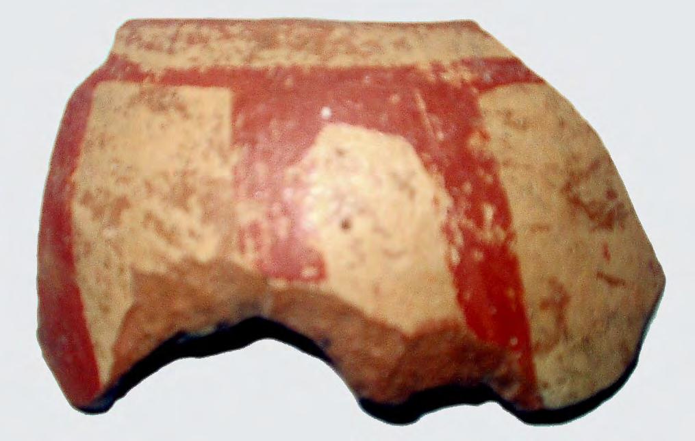 POTTERY 79 Fig. IV.