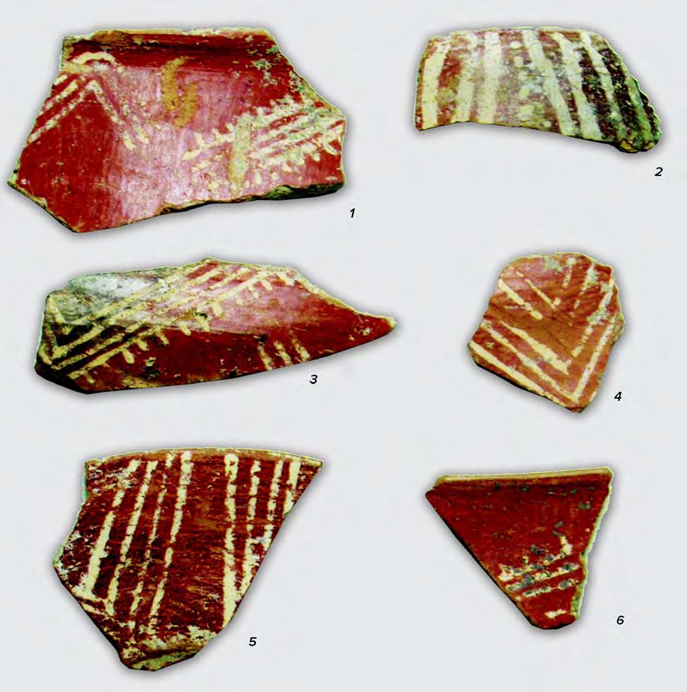 THE STUDY AND EVOLUTION OF TĂRTĂRIA POTTERY 87 Fig. IV.40. b) Foeni, group Foeni. At Zau de Câmpie it is possible to see how the Vinča and Turdaș cultures have contributed to the genesis of Petrești.