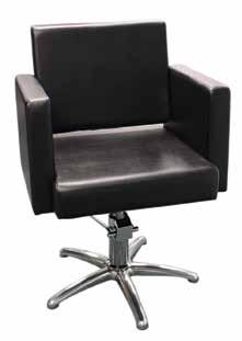 Hydraulic pump and   Styling Recliner Chair AC109 $420 Styling chair
