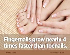 Longer the fingers you have faster your nails grow. Discolored nails reflect the health of your body.