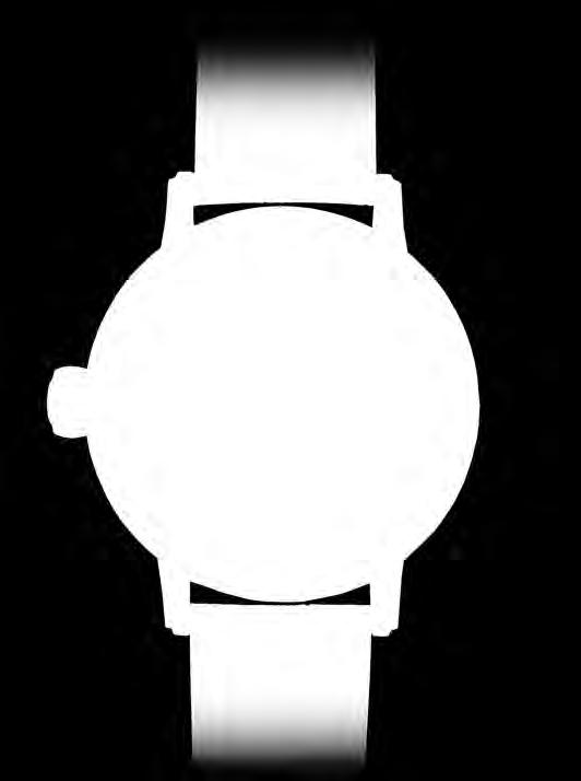 POLAR BEAR Polar Bear is the name of one of the most successful watches by Poljot-International.