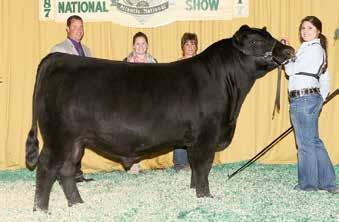 62 SAF Lucy Pride B192 18089498 Kentucky Exposition Center, 937 Phillips Lane, Louisville, Kentucky S A F HONORS D259 Birth Date: 9-3-2016 Bull 18553979 Tattoo: D259 Owned by: Bryanna Smith, Russell