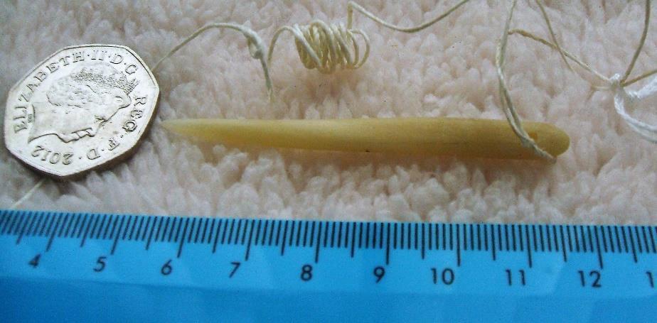 Item: 5 Brief Description: Needle and Thread The needle is made from bone. The thread/string here was made from flax. String was a very useful piece of technology in prehistory.