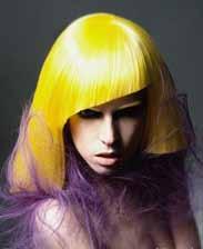 32 ADVANCED ACADEMY IN CUT DESIGN LEVEL 03 This course is the ultimate in hairdressing education.