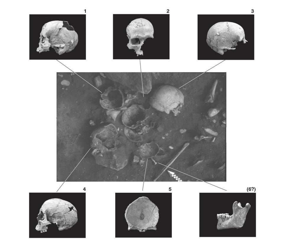 Marta Dočkalová FIGURE 19. An accumulation of human skulls from site 27, discovered in between pits 3 and 1.
