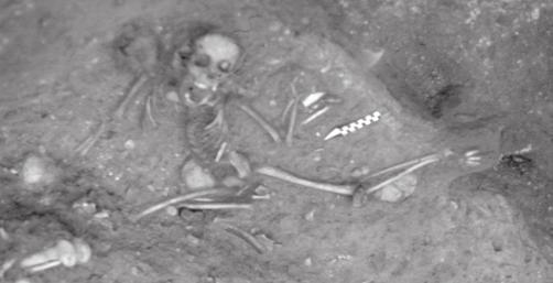 Marta Dočkalová FIGURE 4a. A view of the skeleton of a five-year-old child, K 40, discovered in pit 3 of site 27. FIGURE 4b.