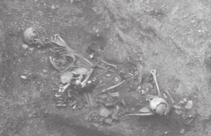 ) The site yielded a total of 4,681 human and animal bones; the osteological material was dispersed over various depths of the site, including its bottom.