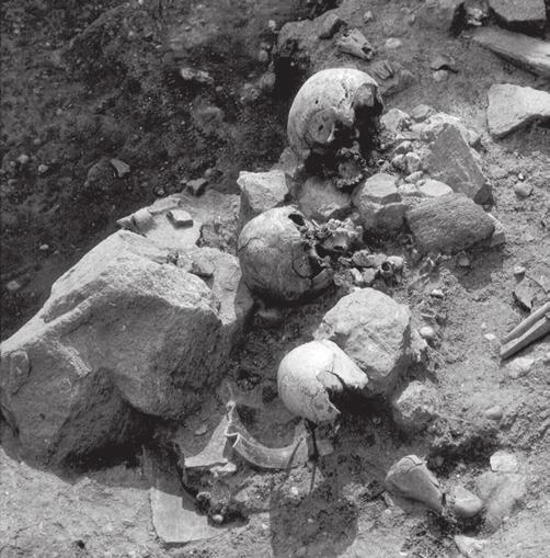 Ritual or Ordinary Burial Rites at the Velim Bronze Age Site? FIGURE 6. Site 27. Taken on location, this picture shows the skeleton of a two-month-old child, K 19.
