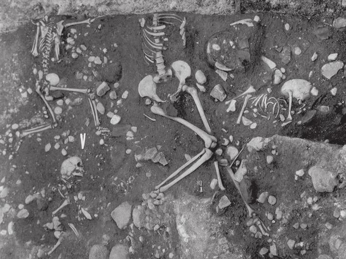 Marta Dočkalová FIGURE 9. Site 27. A view of the skeletons found in the southern part of site 27.