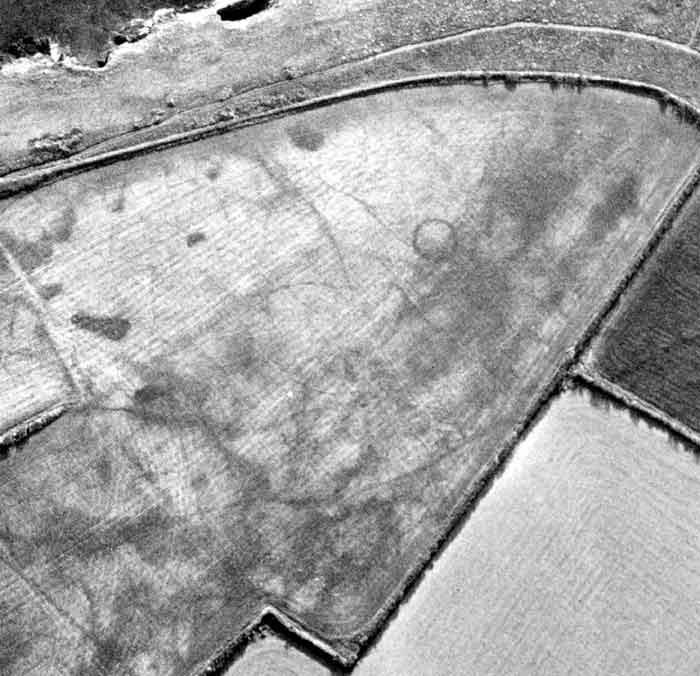 A cropmark ring ditch at Porth Mear near Padstow. The cropmark shows the ploughlevelled surrounding ditch of a round barrow.