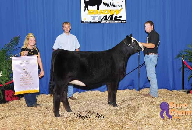 TownCat was 3rd overall Bred & Owned and 17th overall at Jr. Nationals. She is really massive and sound and good legged just like her mother.