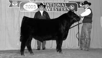 Express NWSS Champions LIMOUSIN 2009 National